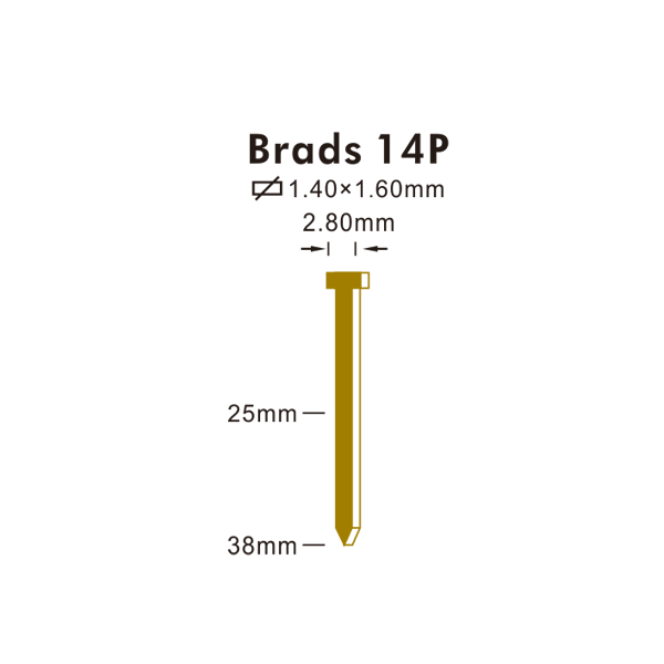 Brads 14P